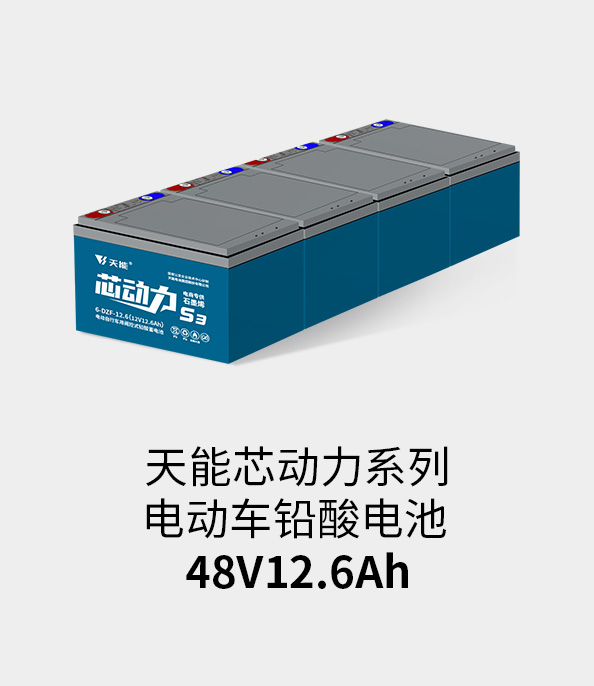 ROR体育电池48v12ah