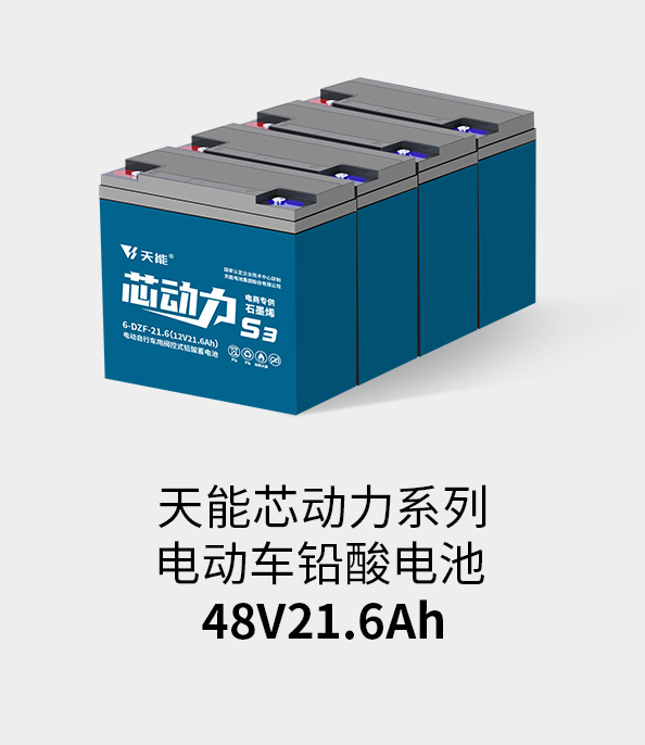 ROR体育电池48v20ah
