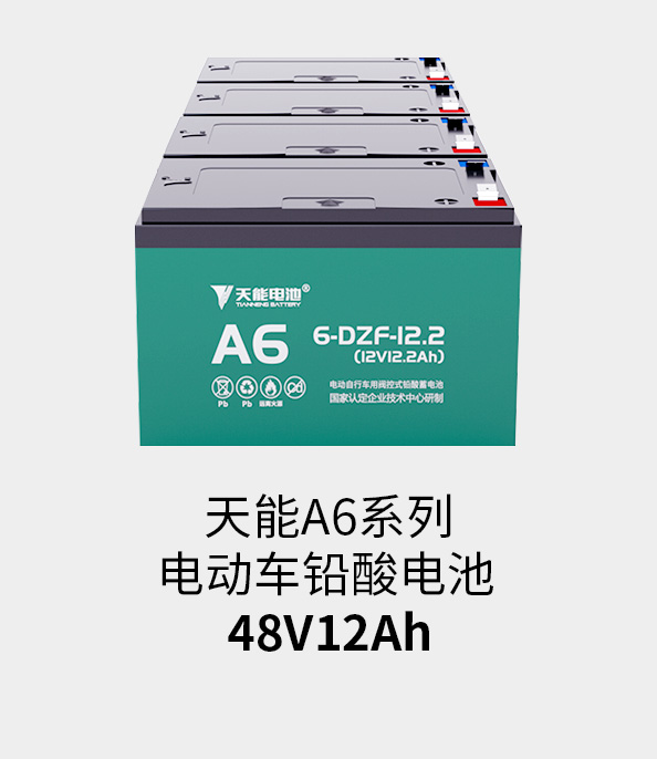 ROR体育电池48v12ah