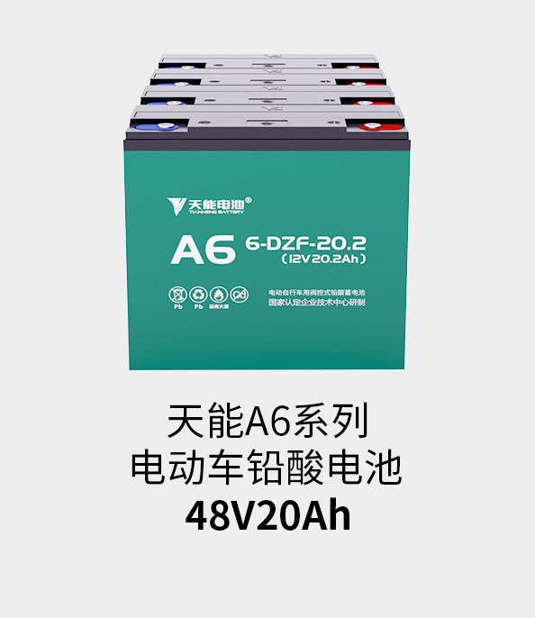 ROR体育电池48v20ah