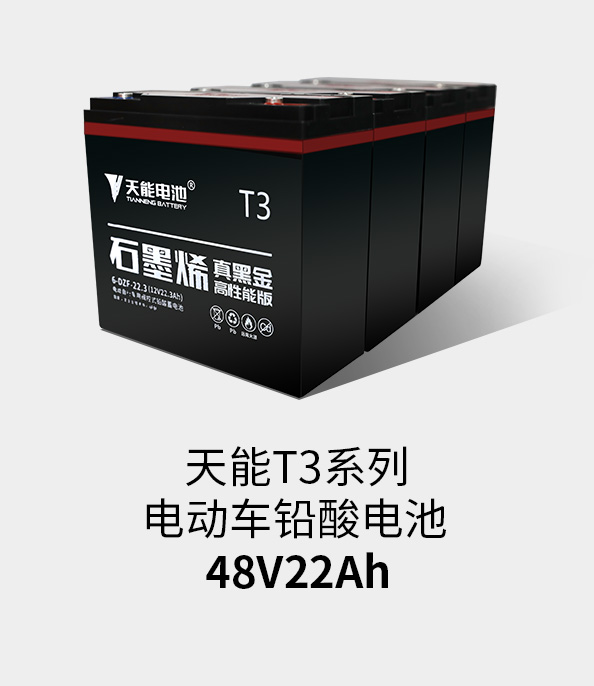 ROR体育T3系列48v22ah